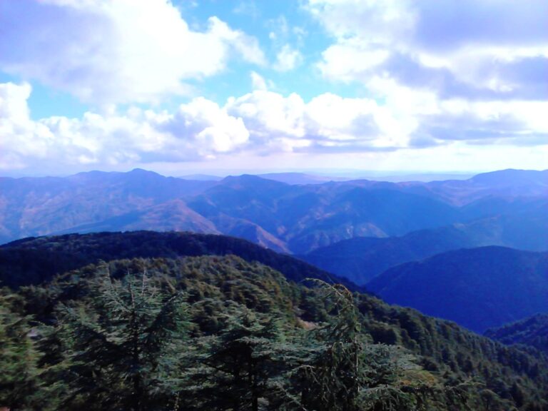 Atlas_Mountain_Blida_Algeria