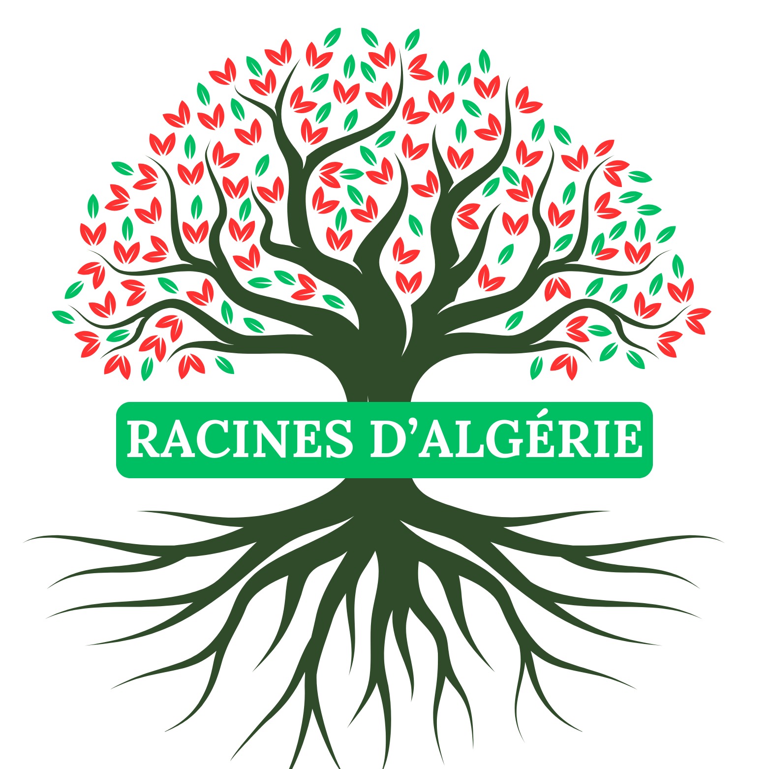 Logo Racines-dz