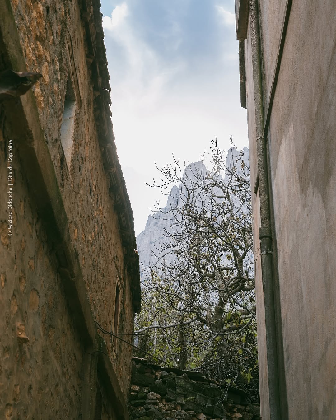 Gîte du Capitaine 79