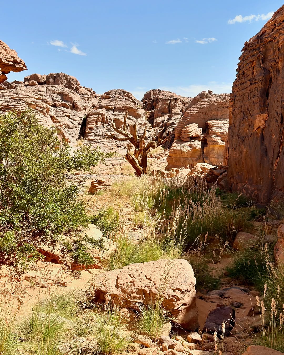 kabti-hkayti -tassili