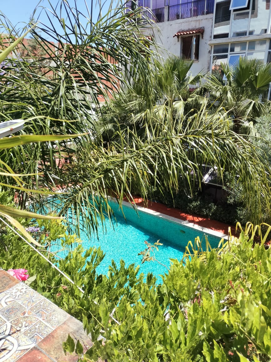 maison-rka-le-piscine-et-jardin (4)
