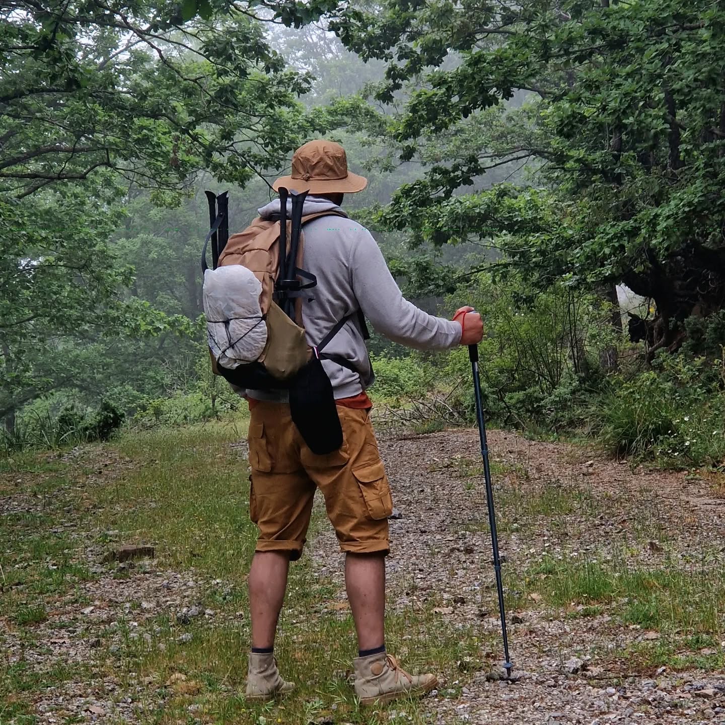 DZ Hikers (3)