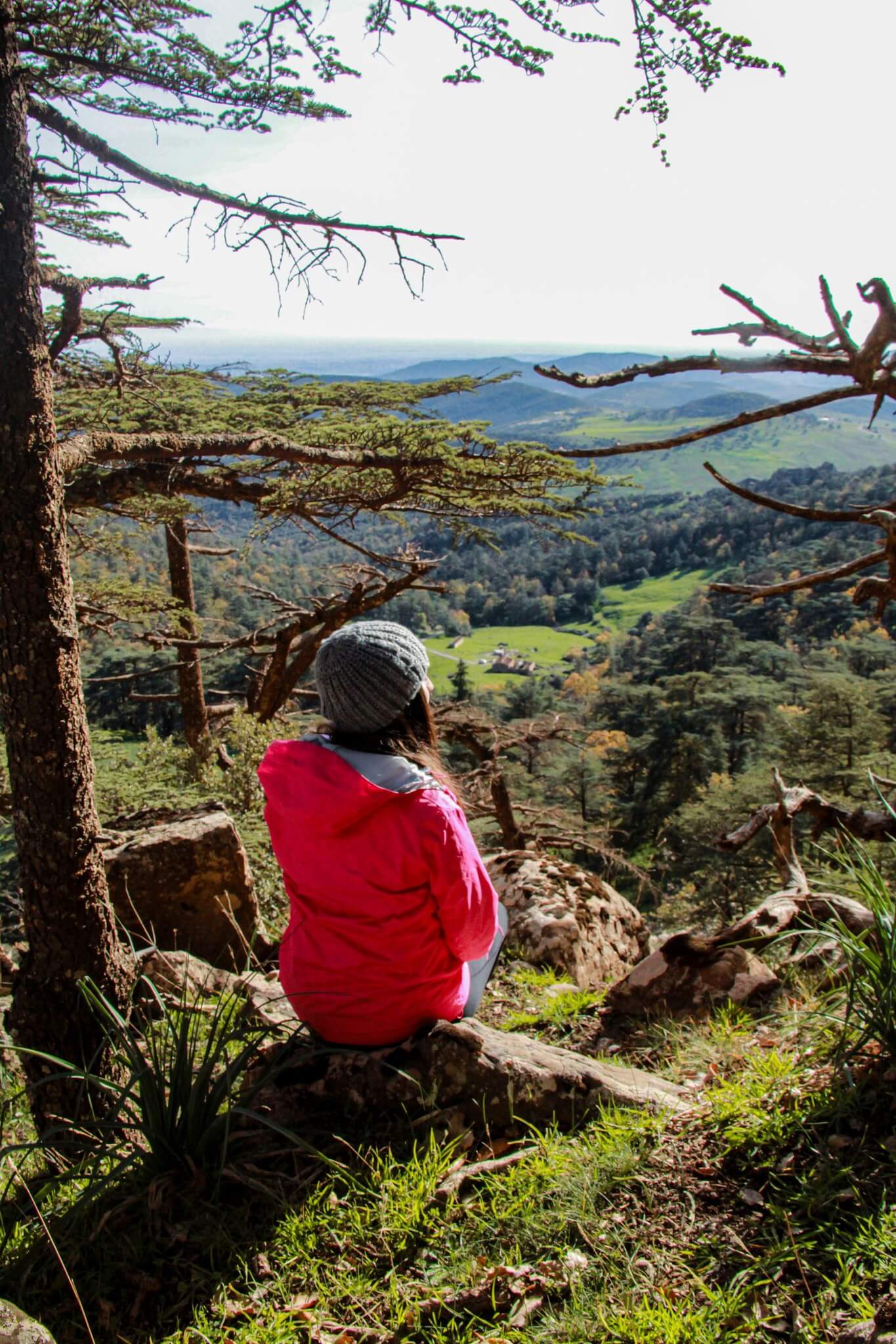 DZ Hikers (34)