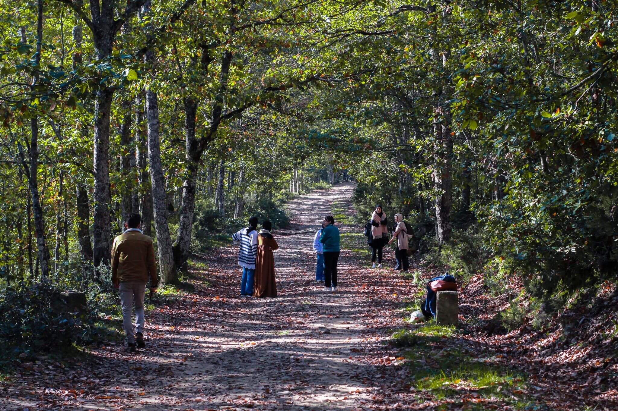 DZ Hikers (62)