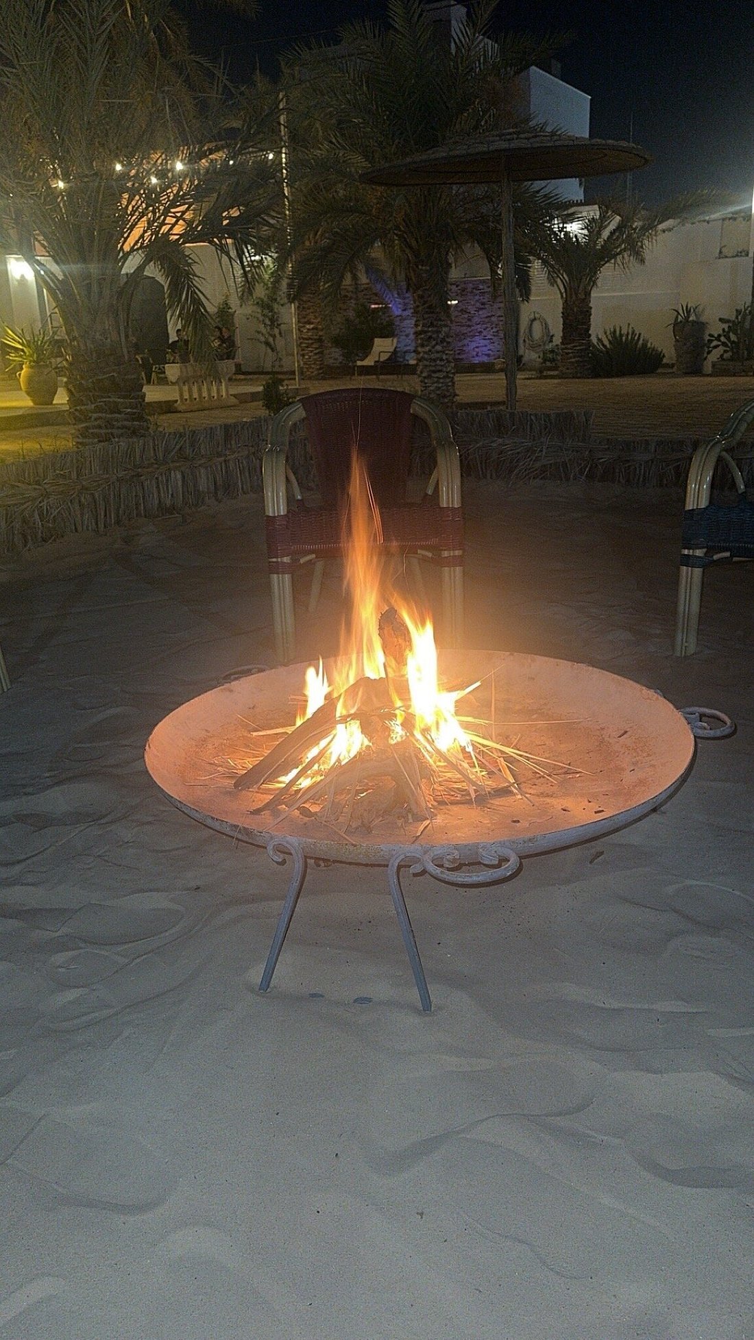 Dar-Eddaya (61)