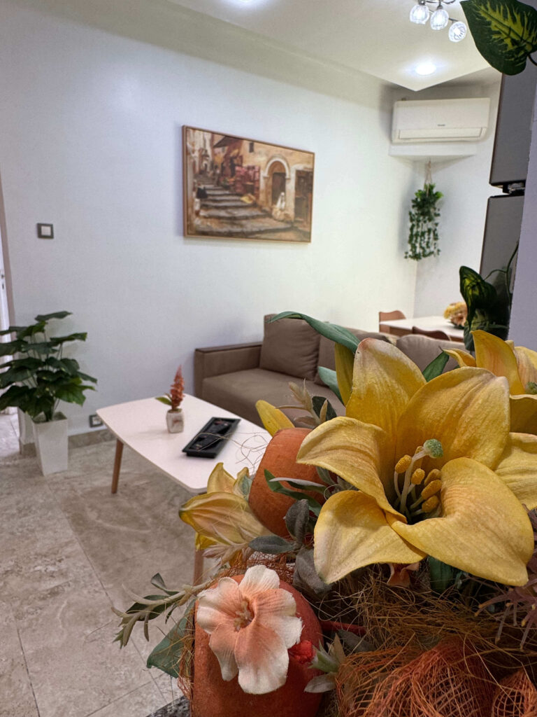 Loft-algerie-Le-Dounia-Loft (18)
