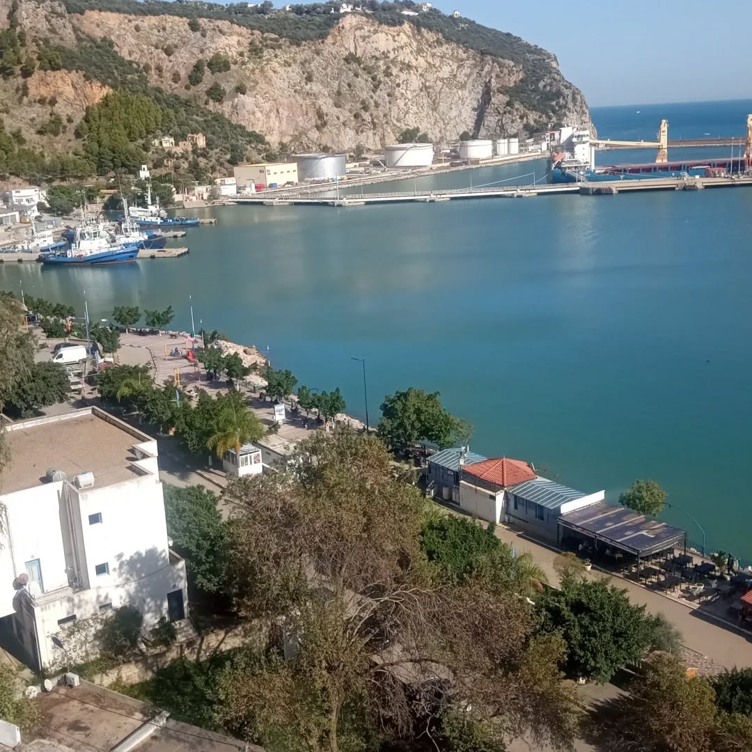guide-taxi-alger (15)