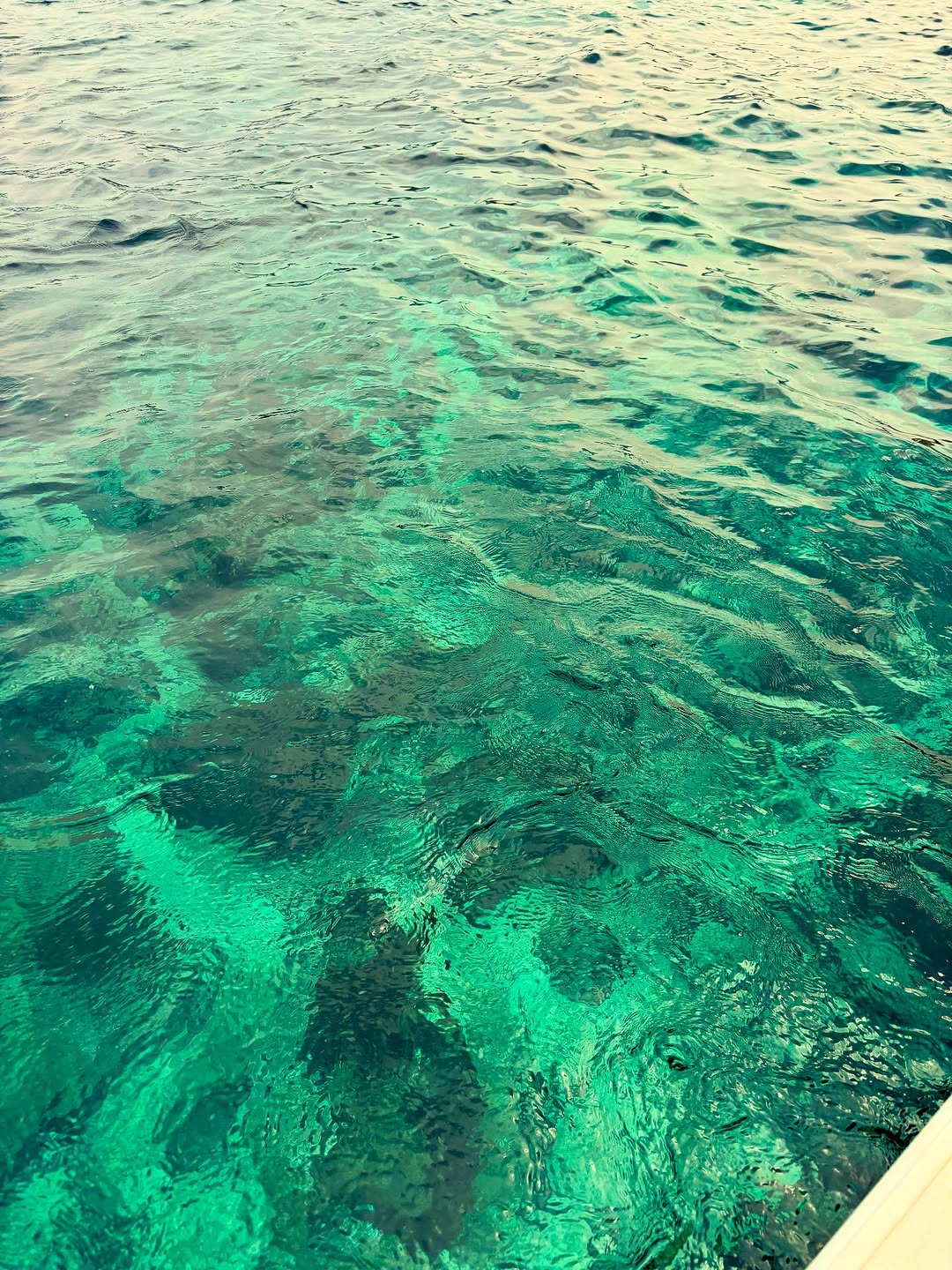 balades-en-mer-bejaia-hewes-bejaia (4)