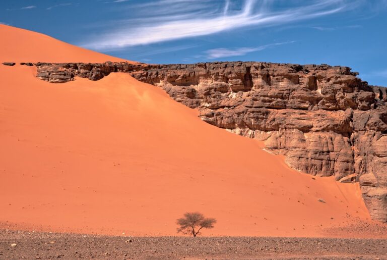 tassili-najjer (7)
