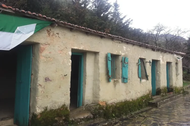 musee-moudjahid-ifri-ouzellaguen-2