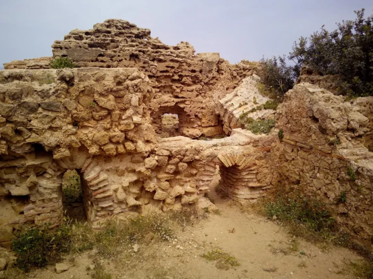 musee-site-tipasa (1)