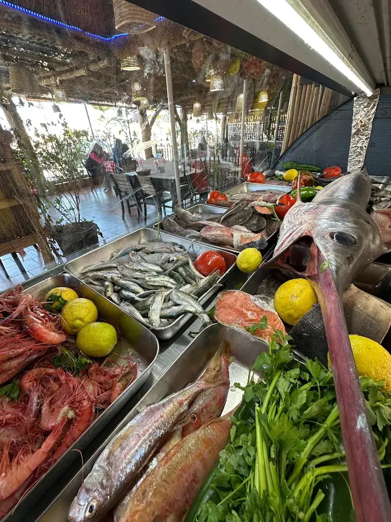 restaurant-albert-camus-tipaza (4)