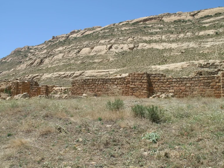 wilaya-de-ksar-el-boukhari (5)