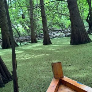 Ali Thailandi-guide-touristique-lac-Tonga (1)