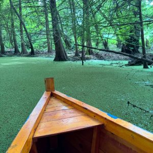 Ali Thailandi-guide-touristique-lac-Tonga (2)