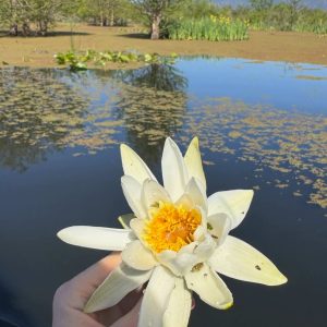 Ali Thailandi-guide-touristique-lac-Tonga (5)