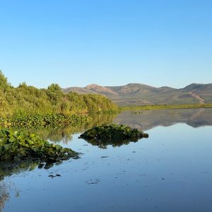 Ali Thailandi-guide-touristique-lac-Tonga (7)