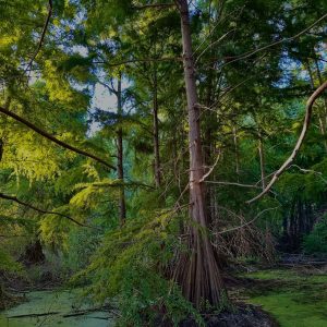 Ali Thailandi-guide-touristique-lac-Tonga (8)