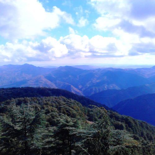 Atlas_Mountain_Blida_Algeria