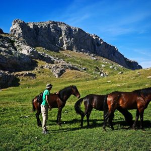 Brahim-ghazi-guide-de-montagne (14)