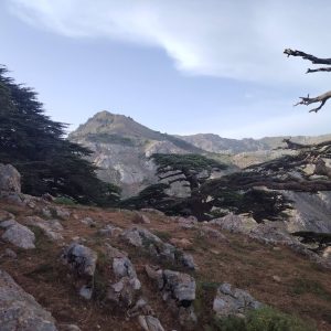 Brahim-ghazi-guide-de-montagne (40)