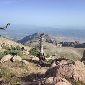 Brahim-ghazi-guide-de-montagne (57)
