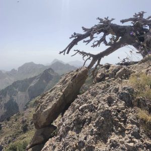 Brahim-ghazi-guide-de-montagne (67)