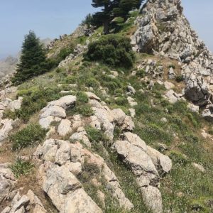 Brahim-ghazi-guide-de-montagne (68)