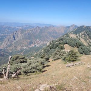 Brahim-ghazi-guide-de-montagne (80)
