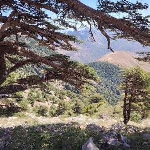 Brahim-ghazi-guide-de-montagne (85)
