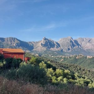 Brahim-ghazi-guide-de-montagne (9)