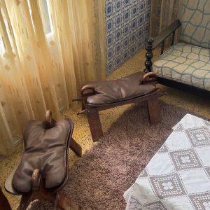 Camélia Loft (12)