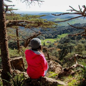 DZ Hikers (34)
