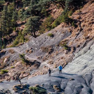 DZ Hikers (38)
