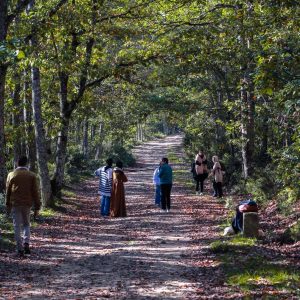 DZ Hikers (62)