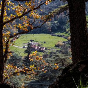 DZ Hikers (67)