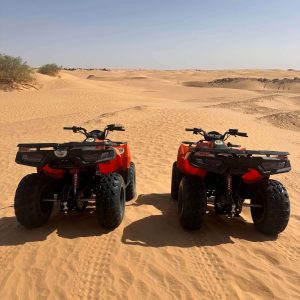 Dunes-adventure (6)