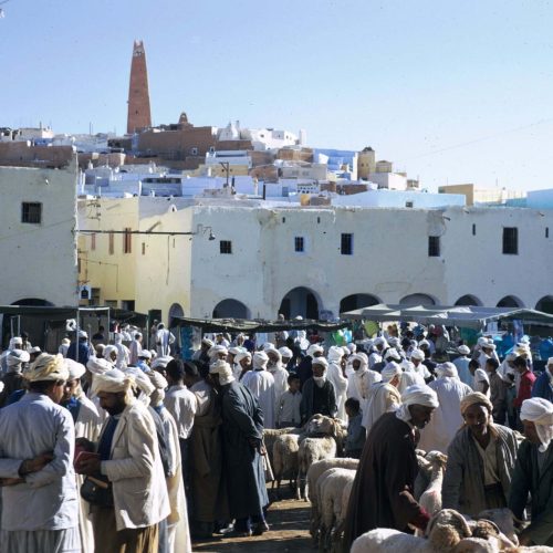 Ghardaia01