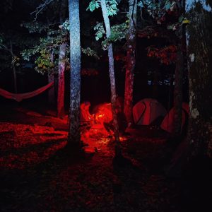 Gravity-club (64)