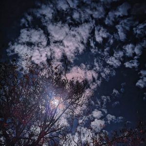 Gravity-club (79)