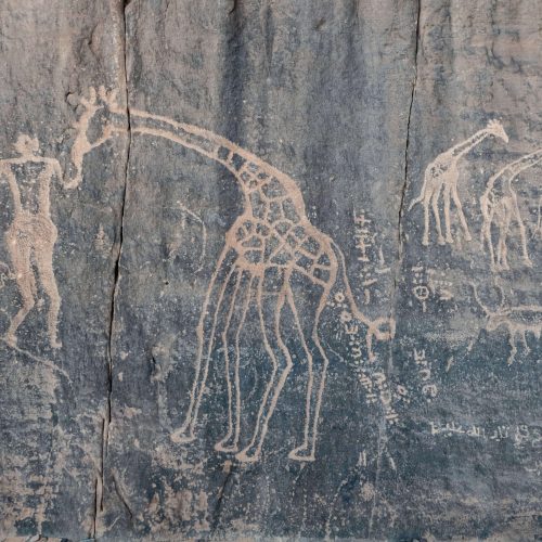 Gravures_rupestres_girafes_et_humain_In_Djaren_2