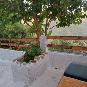 IMG-20250708-WA0031