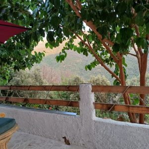 IMG-20250708-WA0041