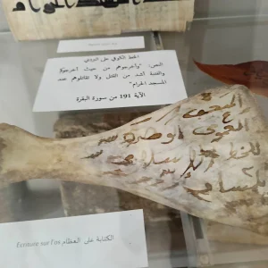 Ibrahim-mlk-musee-archeologie-islamique-tlemcen (1)