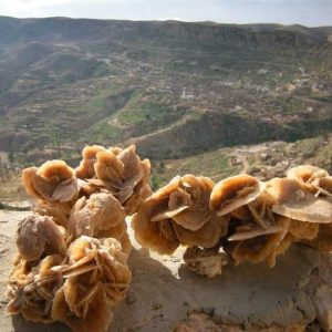 Kader Timimoune 1