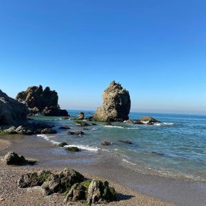 Le-Paradis-de-Figuier (11)