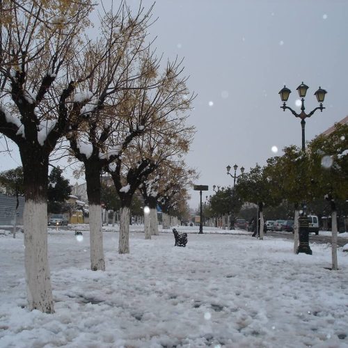 Les_allées_Ben_Boulaid_à_Batna