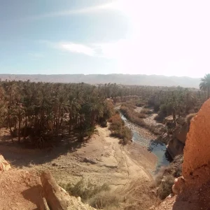 Musée_lapidaire_d'El_Kantara (2)