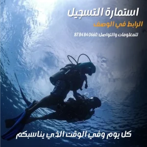 Paradive-Club (1)