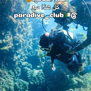 Paradive-Club (17)